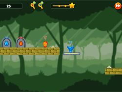 Play Fire Hero And Water Princess Now